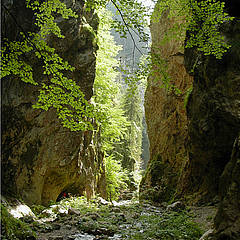 Weißenbachklamm